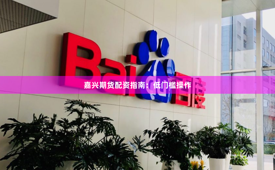嘉兴期货配资指南：低门槛操作